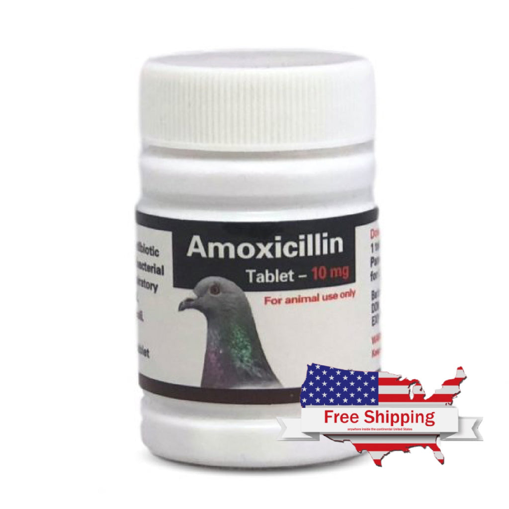 Amoxicillin Tablets: Treats Bacterial Infections in Birds | Chicken Antibiotics