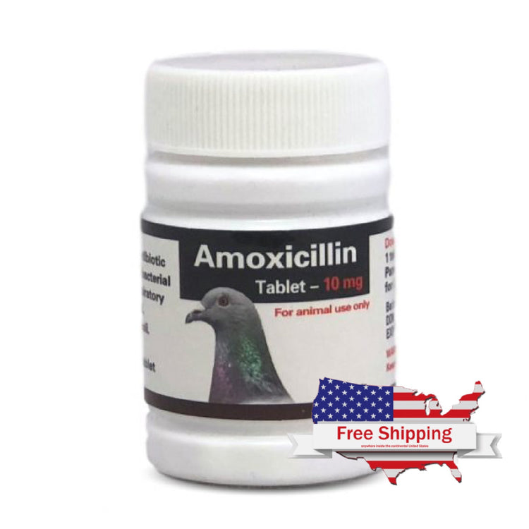 Amoxicillin Tablets: Treats Bacterial Infections in Birds | Chicken Antibiotics