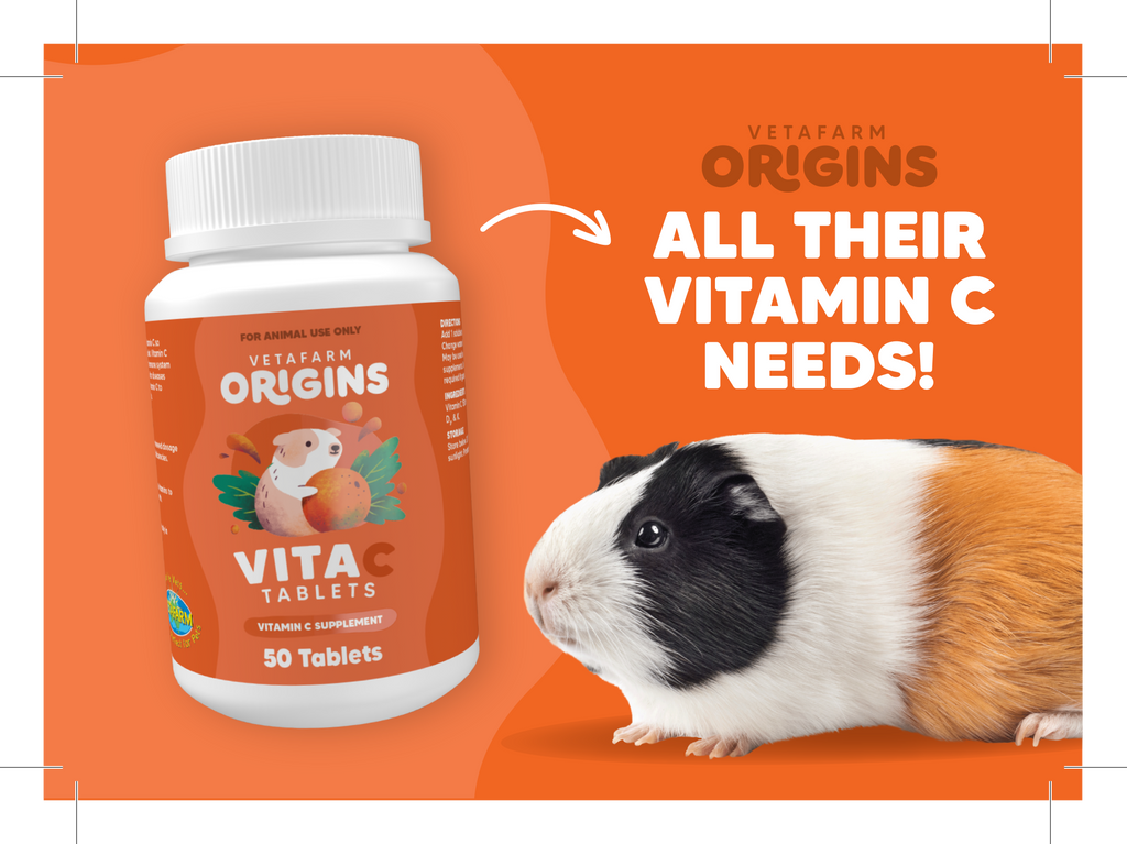Vita-C Tablets | Vetafarm at ChickenAntibiotics.com