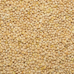 White Millet White Millet Seed for Pigeons & Doves - 5 LBS | Chicken Antibiotics