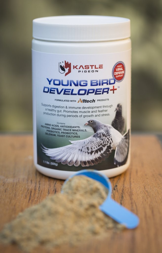 Young Bird Developer+ (Kastle) | Chicken Antibiotics