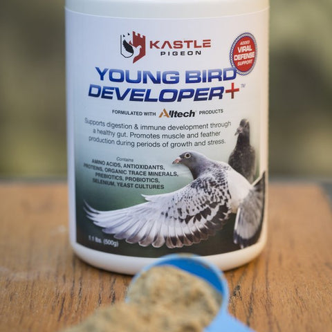 Young Bird Developer+ (Kastle) | Chicken Antibiotics