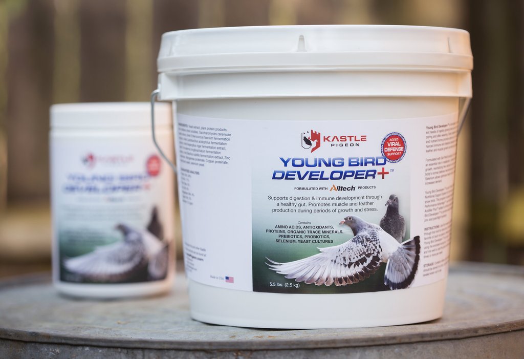 Young Bird Developer+ (Kastle) | Chicken Antibiotics