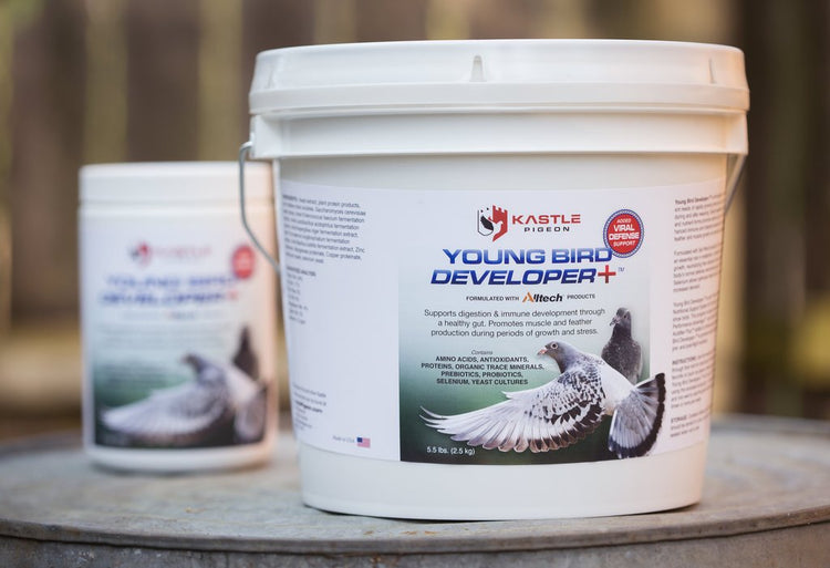 Young Bird Developer+ (Kastle) | Chicken Antibiotics