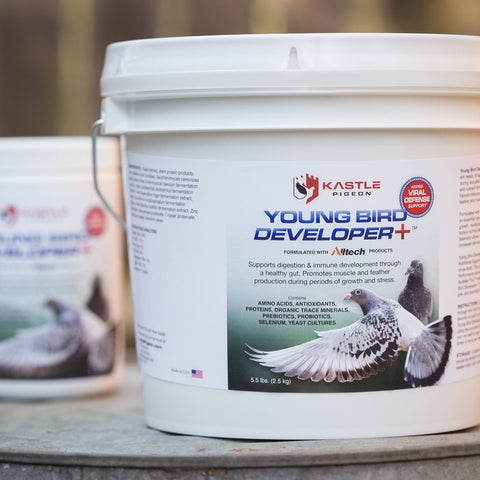 Young Bird Developer+ (Kastle) | Chicken Antibiotics