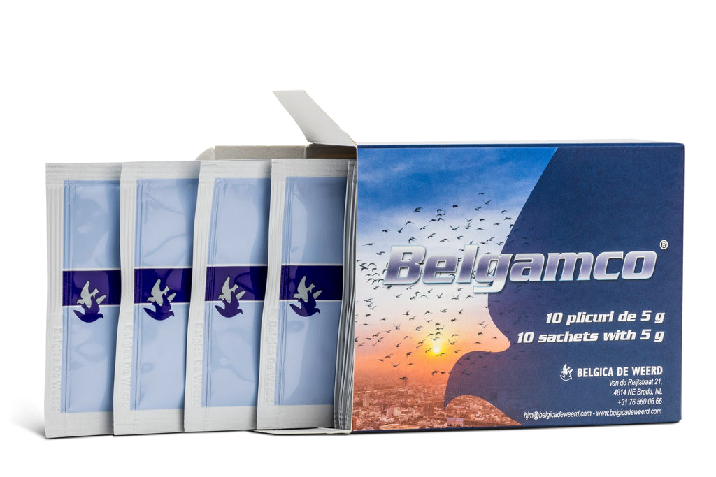 BelgAmco (De Weerd) | Chicken Antibiotics