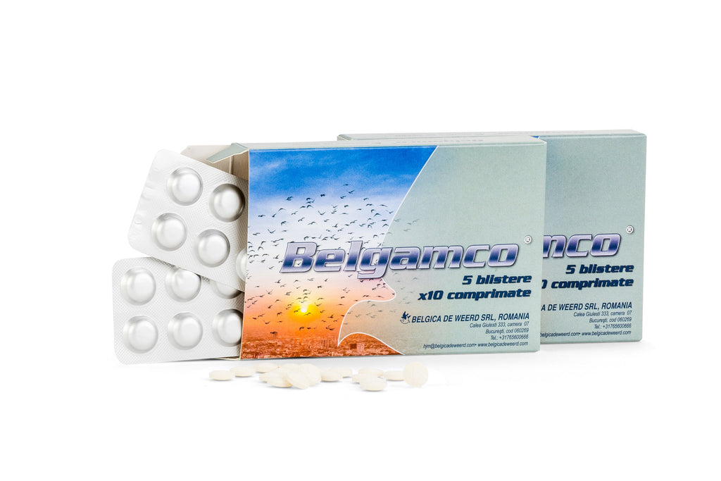 BelgAmco (De Weerd) | Chicken Antibiotics