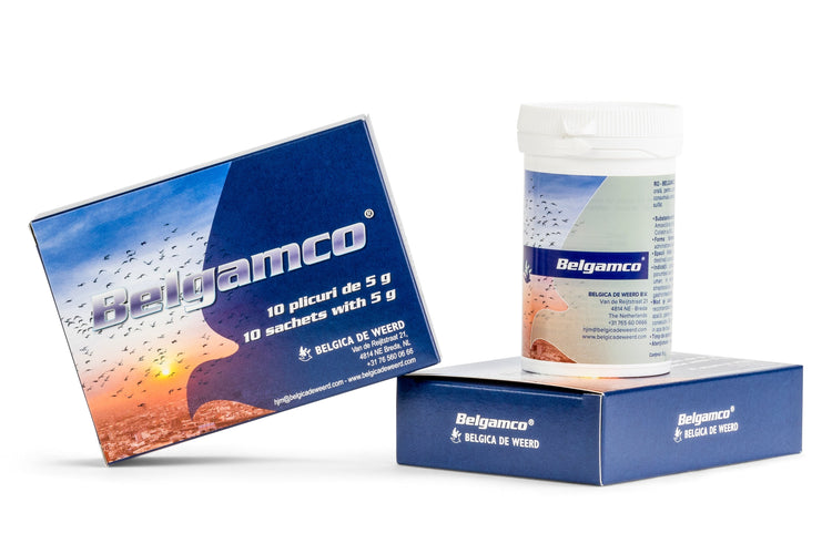 BelgAmco (De Weerd) | Chicken Antibiotics
