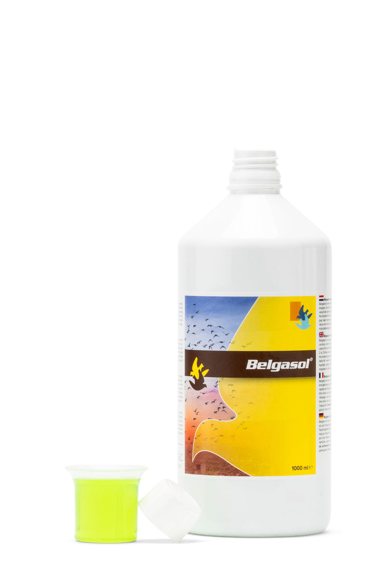 Belgica De Weerd Belgasol Electrolytes & Vitamins for Pigeons 250ml 500ml 1000ml | Chicken Antibiotics