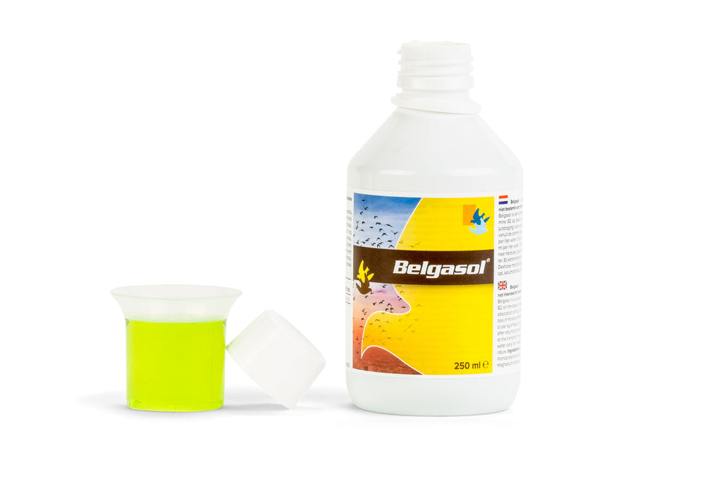 Belgica De Weerd Belgasol Electrolytes & Vitamins for Pigeons 250ml 500ml 1000ml - 1000 ml | Chicken Antibiotics