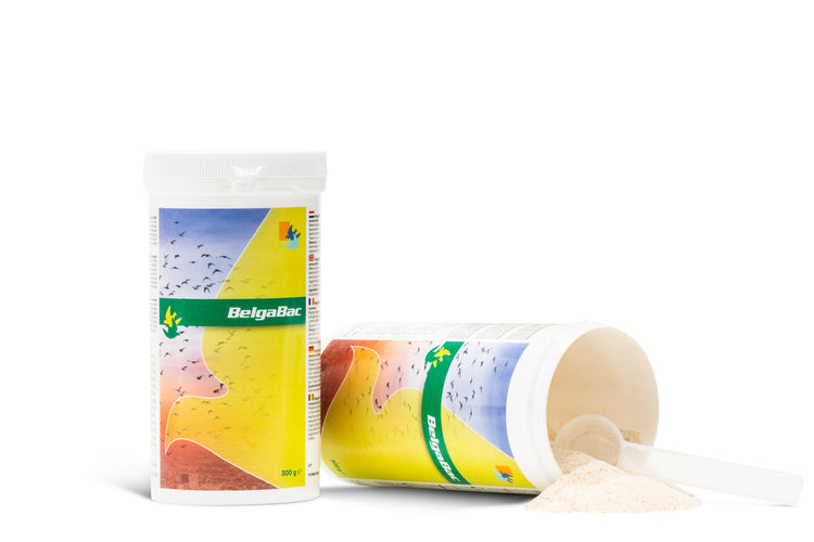 BELGABAC (De Weerd) | Chicken Antibiotics