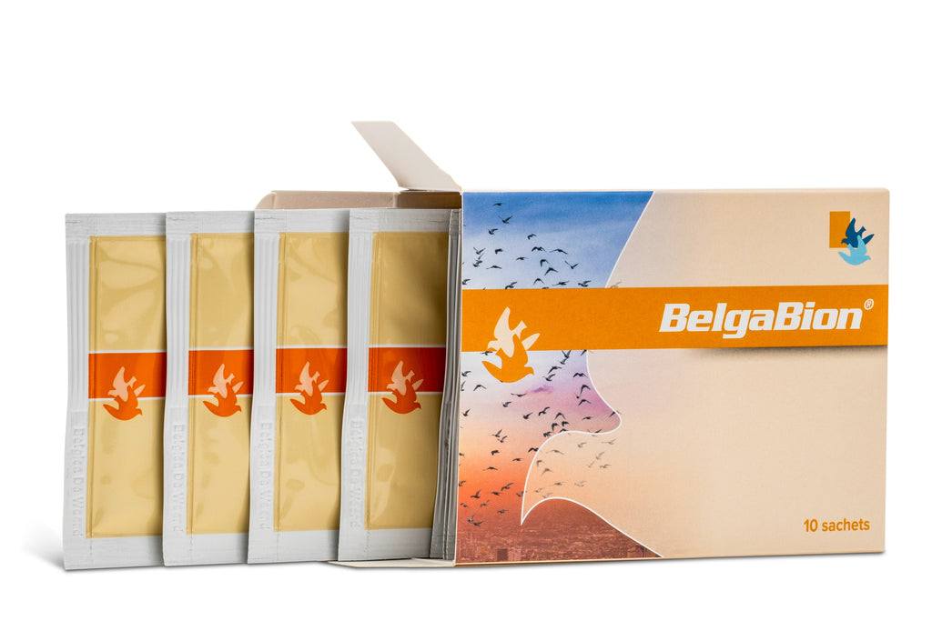 BelgaBion (De Weerd) - 10 Sachets | Chicken Antibiotics