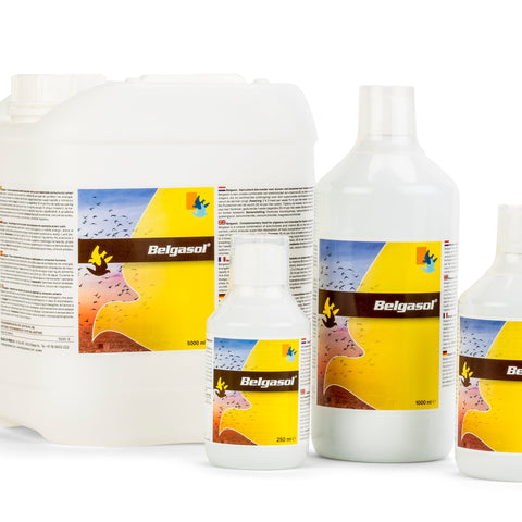 Belgica De Weerd Belgasol Electrolytes & Vitamins for Pigeons 250ml 500ml 1000ml - 250 ml | Chicken Antibiotics