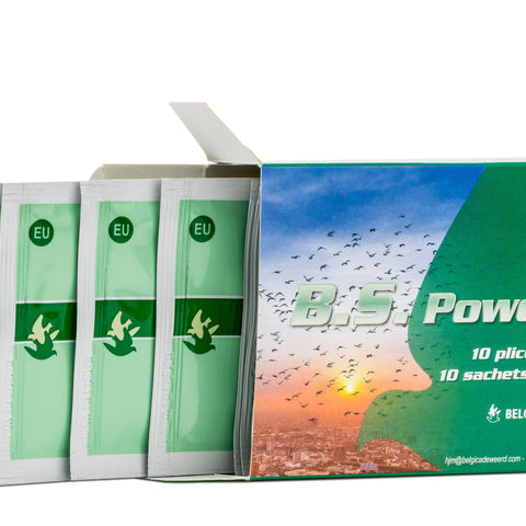B.S. Betere Spijsvertering (De Weerd) - 1 Sachets | Chicken Antibiotics