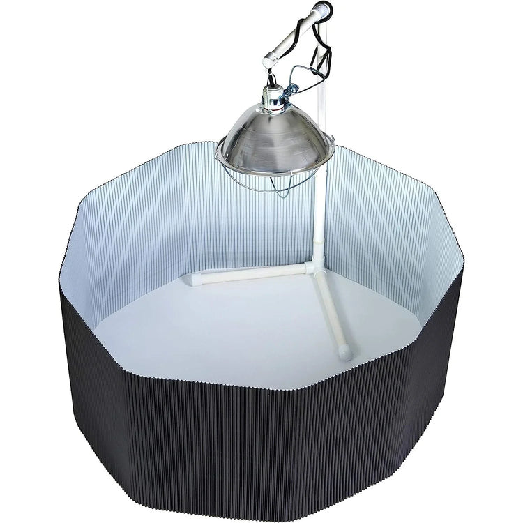 Chick Brooder Kit Complete Kit for Raising and Brooding Chicks | Chicken Antibiotics