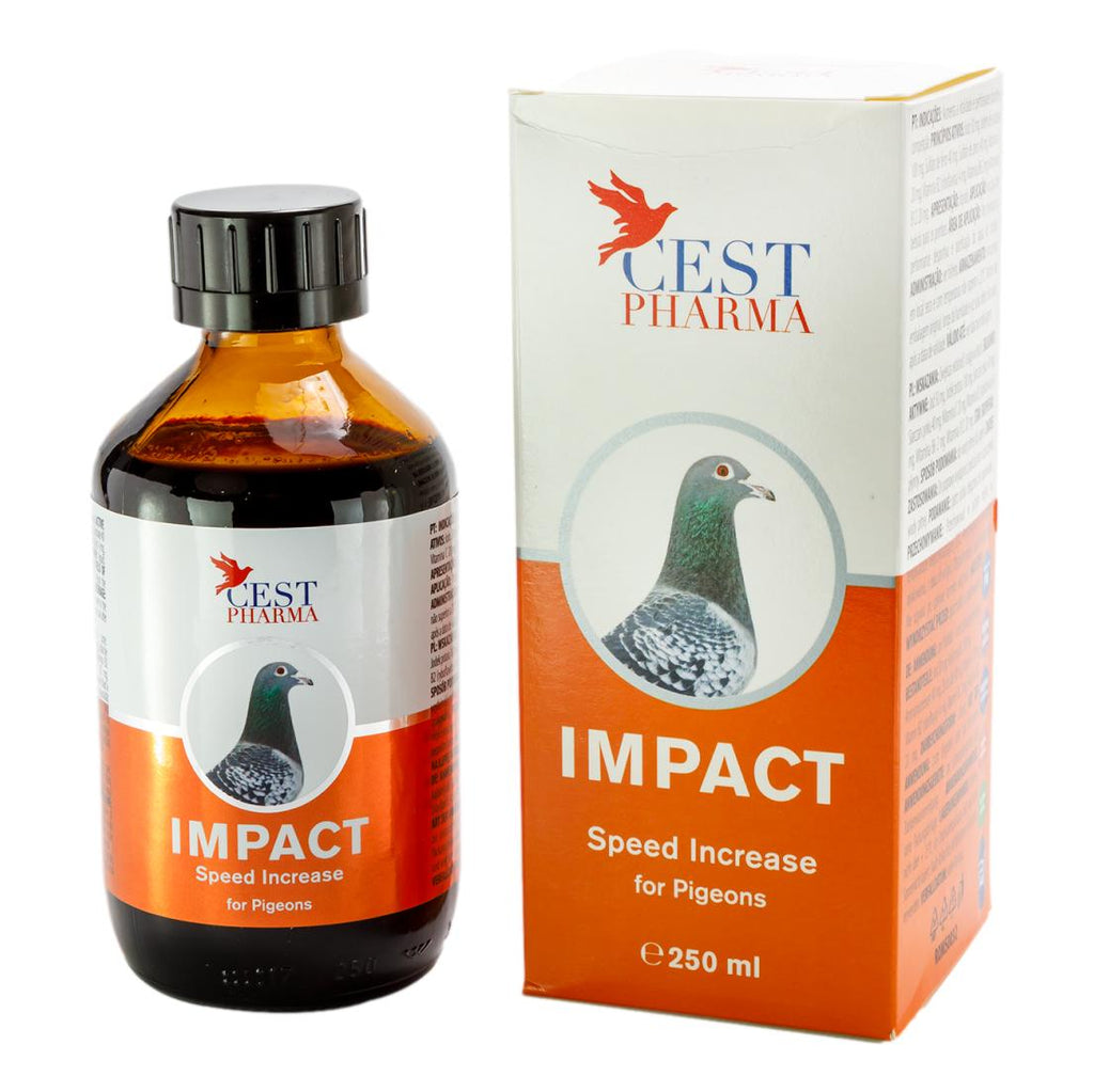 Cest Impact- High Energy Tonic for Pigeon Racing & Breeding - 100 ml (3.4 fl oz) | Chicken Antibiotics