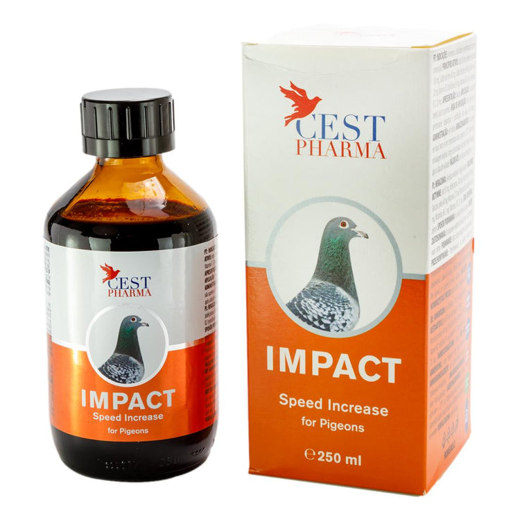 Cest Impact- High Energy Tonic for Pigeon Racing & Breeding - 100 ml (3.4 fl oz) | Chicken Antibiotics