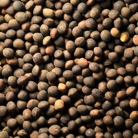 Vetch Peas High-Protein Premium Bird Food Supplement - 5 LBS | Chicken Antibiotics