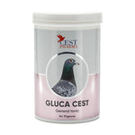 Gluca Cest for Pigeons - General Tonic for Recovery | Chicken Antibiotics