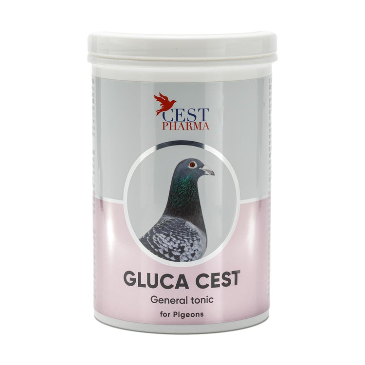 Gluca Cest for Pigeons - General Tonic for Recovery | Chicken Antibiotics