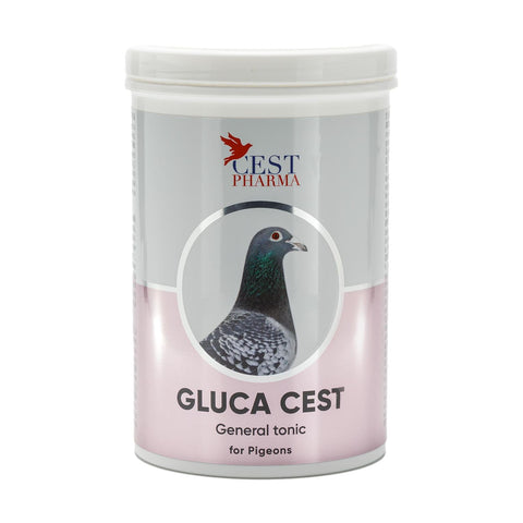Gluca Cest for Pigeons - General Tonic for Recovery | Chicken Antibiotics