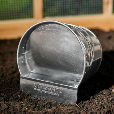Little Giant Galvanized Bucket Poultry Waterer | Chicken Antibiotics