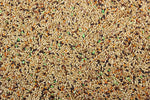 Canary Plus Premium Canary Seed Mix with Vitamins | Chicken Antibiotics