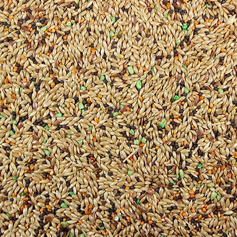 Canary Plus Premium Canary Seed Mix with Vitamins | Chicken Antibiotics