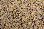 Canary Roller Mix - 25 LBS | Chicken Antibiotics