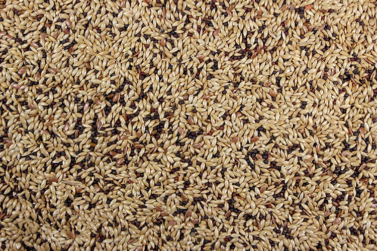 Canary Roller Mix - 25 LBS | Chicken Antibiotics
