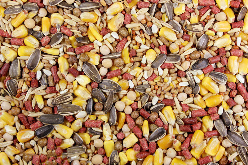 Chavez Mix (Leach Grain & Milling) | Chicken Antibiotics