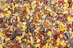 Chavez Mix (Leach Grain & Milling) | Chicken Antibiotics