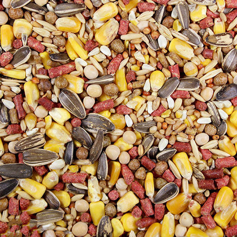 Chavez Mix (Leach Grain & Milling) | Chicken Antibiotics