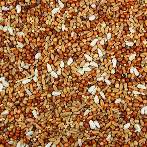 Dove Mix – Premium Dove Food - 5 lbs | Chicken Antibiotics
