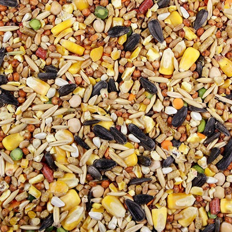 El Cantador (Leach Grain) Premium Chicken Feed/Poultry Feed - 50 lbs | Chicken Antibiotics