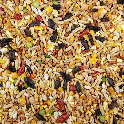 El Cantador with Cracked Corn (Leach Grain) Premium Chicken Feed With Cracked Corn - 50 pds | Chicken Antibiotics