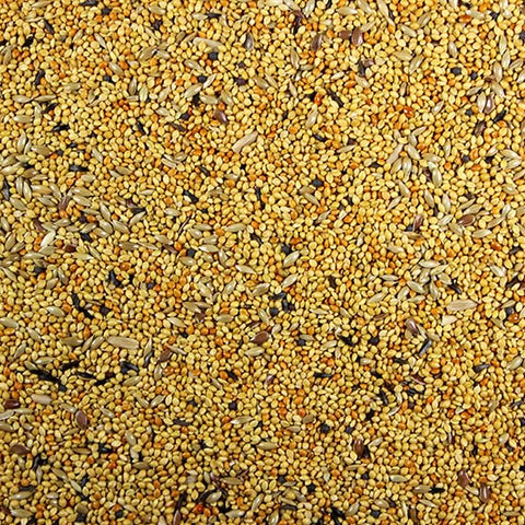 Finch Food Quality Finch Bird Feed - 25 lbs | Chicken Antibiotics