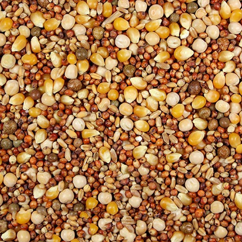 White Tag 14% with Popcorn (Leach Grain & Milling) Pigeon Feed - 25 LBS | Chicken Antibiotics