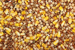 14% Special Feed with Whole Corn (Leach Grain & Milling) | Chicken Antibiotics