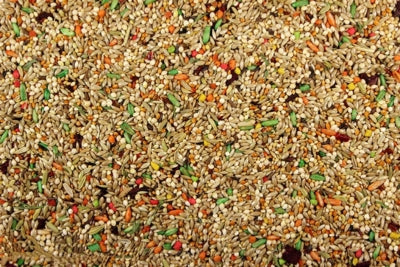 Parakeet Cuisine Premium Parakeet Food/Parakeet Bird Food - 4 lbs | Chicken Antibiotics