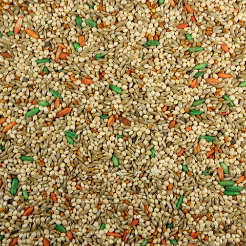 Parakeet Plus Premium Parakeet Seed Mix/Parakeet Food - 5 LBS | Chicken Antibiotics