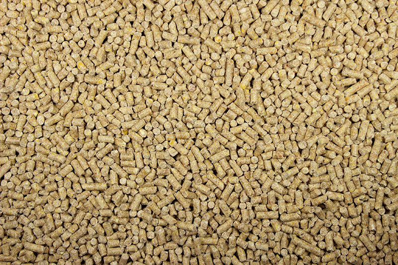 22% Pigeon Pellets (Leach Grain & Milling) High Protein Premium Pigeon Pellet Food | Chicken Antibiotics