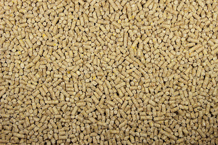 22% Pigeon Pellets (Leach Grain & Milling) High Protein Premium Pigeon Pellet Food | Chicken Antibiotics