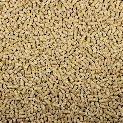22% Pigeon Pellets (Leach Grain & Milling) High Protein Premium Pigeon Pellet Food | Chicken Antibiotics