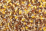 Super Race 17% (Leach Grain & Milling) Premium Racing Pigeon Feed | Chicken Antibiotics