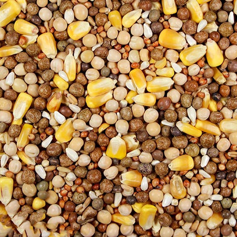 Super Race 17% (Leach Grain & Milling) Premium Racing Pigeon Feed | Chicken Antibiotics