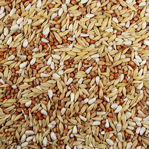 12% Post Race (Leach Grain & Milling) Ultimate Racing Pigeon Feed | Chicken Antibiotics