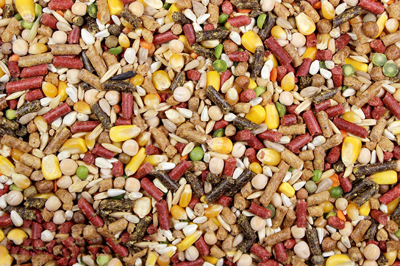 High Octane 50 lbs (Leach Grain & Milling) Premium Chicken Feed/Poultry | Chicken Antibiotics