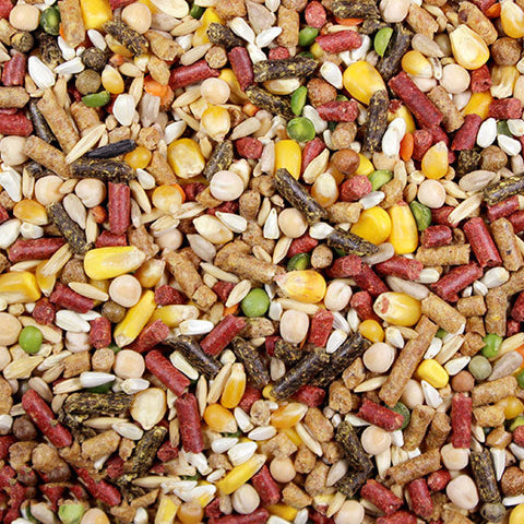 High Octane 50 lbs (Leach Grain & Milling) Premium Chicken Feed/Poultry | Chicken Antibiotics