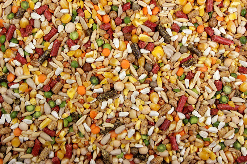 High-Octane with Cracked Corn (Leach Grain & Milling) Fuel for Energizing Chickens, Poultry & Game Birds | Chicken Antibiotic